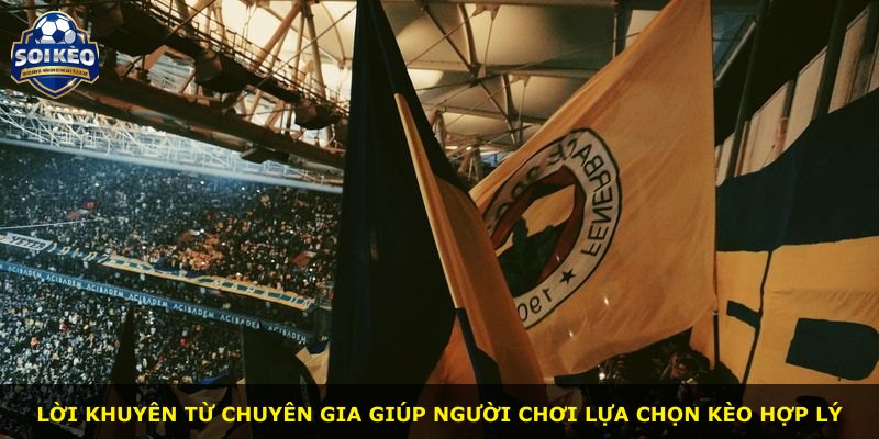 Lời khuyên từ chuyên gia giúp người chơi lựa chọn kèo hợp lý