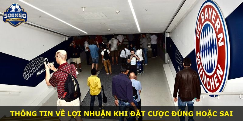 Thông tin về lợi nhuận khi đặt cược đúng hoặc sai