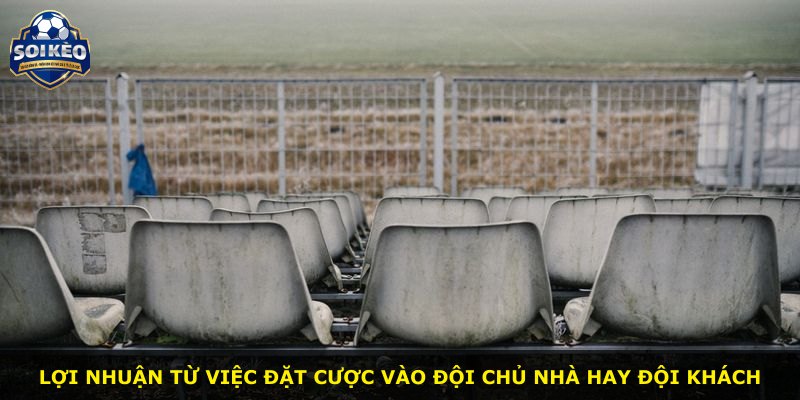 Lợi nhuận từ việc đặt cược vào đội chủ nhà hay đội khách