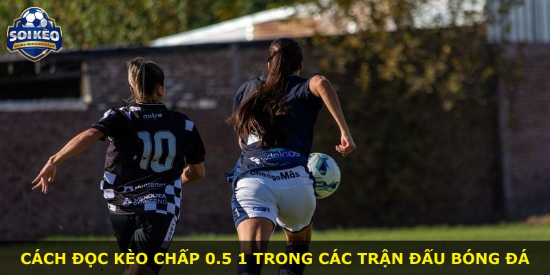 Cách đọc kèo chấp 0.5 1 trong các trận đấu bóng đá