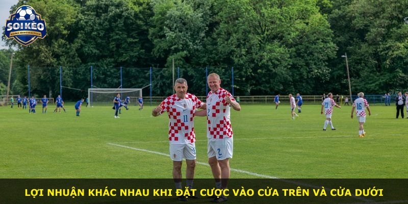 Lợi nhuận khác nhau khi đặt cược vào cửa trên và cửa dưới