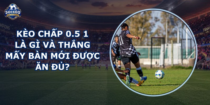 Kèo Chấp 0.5 1 Là Gì