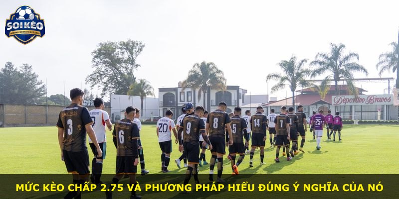 Mức kèo chấp 2.75 và phương pháp hiểu đúng ý nghĩa của nó