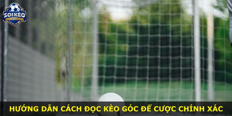 Hướng dẫn cách đọc kèo góc để cược chính xác