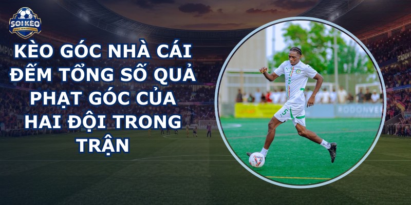 Kèo Góc Nhà Cái