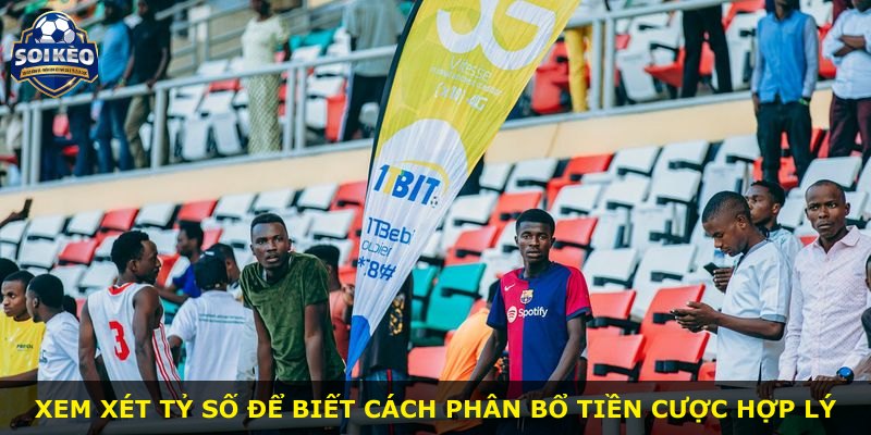 Xem xét tỷ số để biết cách phân bổ tiền cược hợp lý