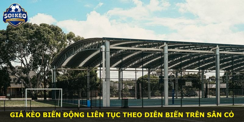 Giá kèo biến động liên tục theo diễn biến trên sân cỏ