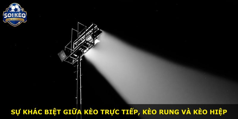 Sự khác biệt giữa kèo trực tiếp, kèo rung và kèo hiệp