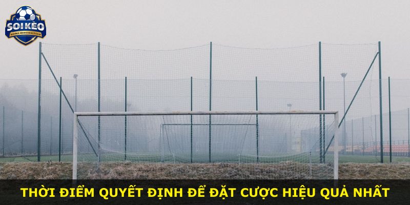 Thời điểm quyết định để đặt cược hiệu quả nhất