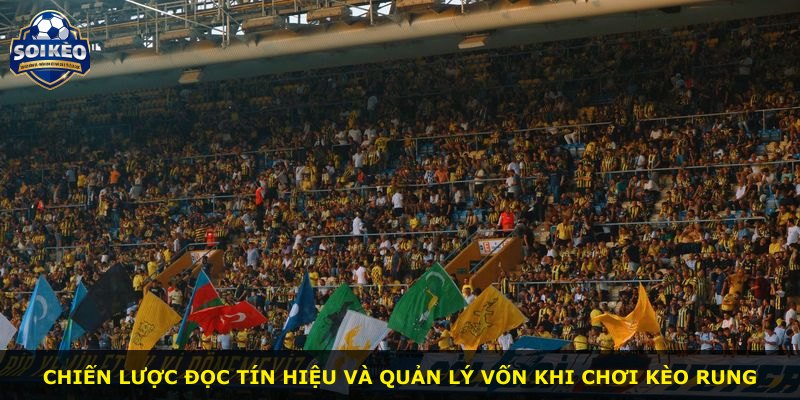 Chiến lược đọc tín hiệu và quản lý vốn khi chơi kèo rung