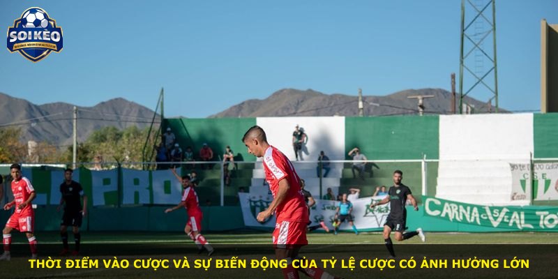 Thời điểm vào cược và sự biến động của tỷ lệ cược có ảnh hưởng lớn