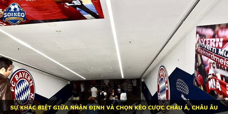 Sự khác biệt giữa nhận định và chọn kèo cược châu Á, châu Âu
