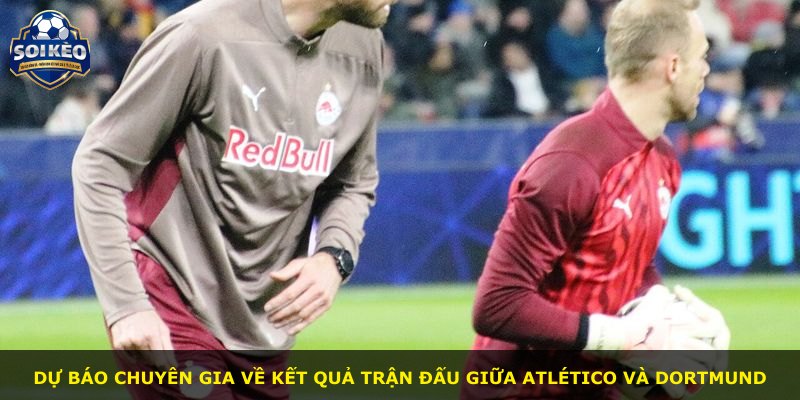 Dự báo chuyên gia về kết quả trận đấu giữa Atlético và Dortmund