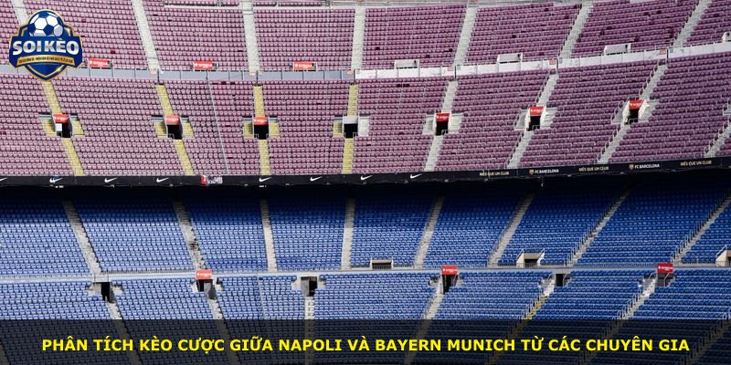 Phân tích kèo cược giữa Napoli và Bayern Munich từ các chuyên gia