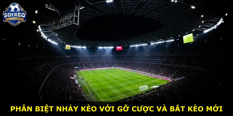 Phân biệt nhảy kèo với gỡ cược và bắt kèo mới