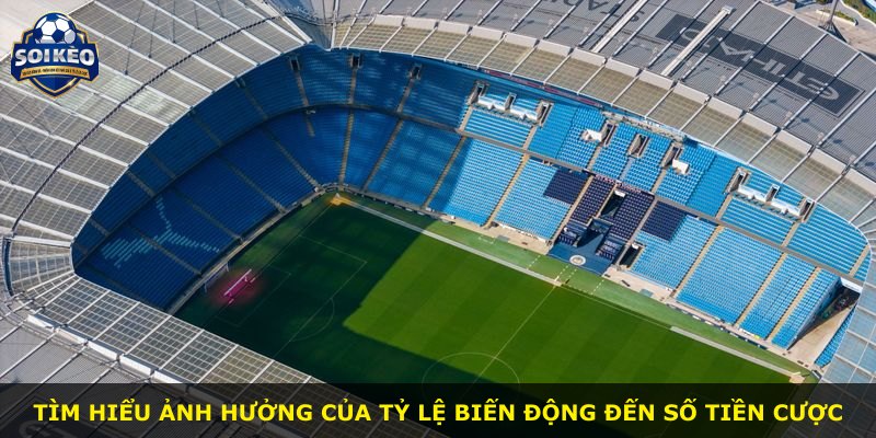 Tìm hiểu ảnh hưởng của tỷ lệ biến động đến số tiền cược