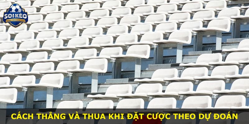 Cách thắng và thua khi đặt cược theo dự đoán