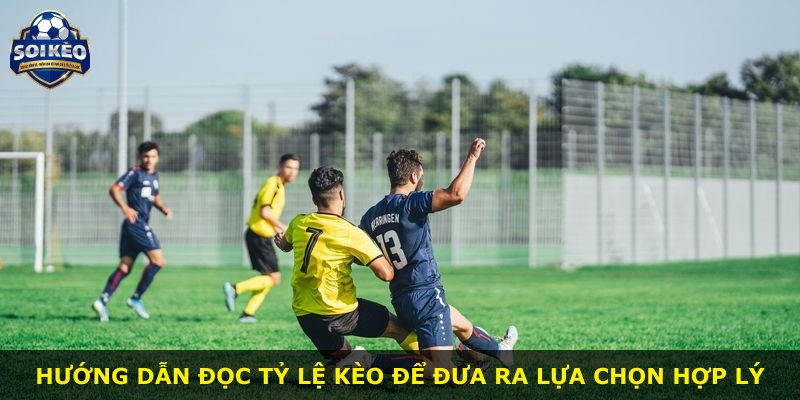 Hướng dẫn đọc tỷ lệ kèo để đưa ra lựa chọn hợp lý