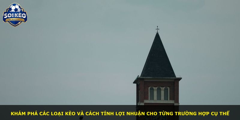 Khám phá các loại kèo và cách tính lợi nhuận cho từng trường hợp cụ thể