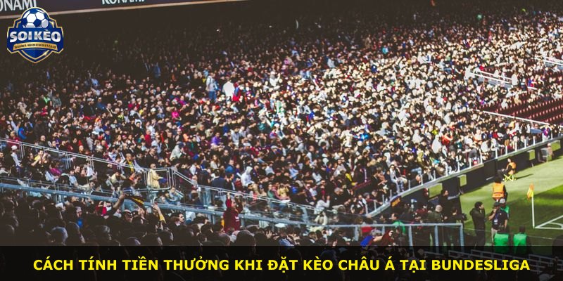 Cách tính tiền thưởng khi đặt kèo châu Á tại Bundesliga