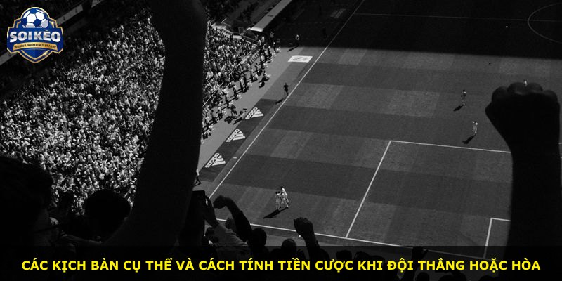 Các kịch bản cụ thể và cách tính tiền cược khi đội thắng hoặc hòa