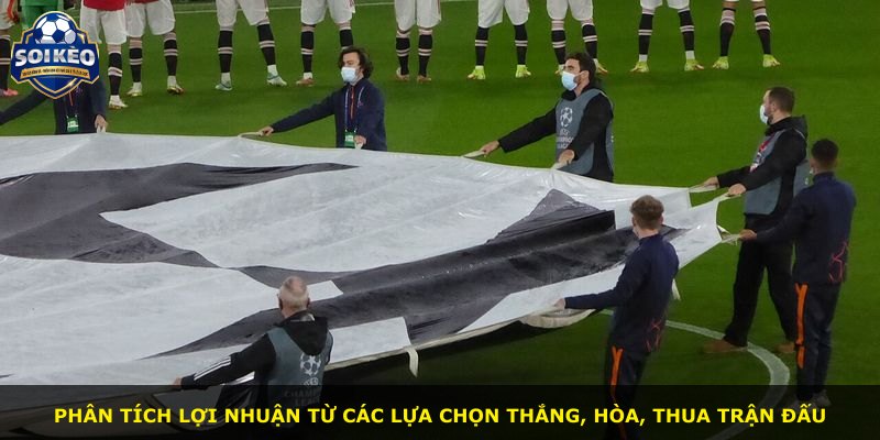 Phân tích lợi nhuận từ các lựa chọn thắng, hòa, thua trận đấu