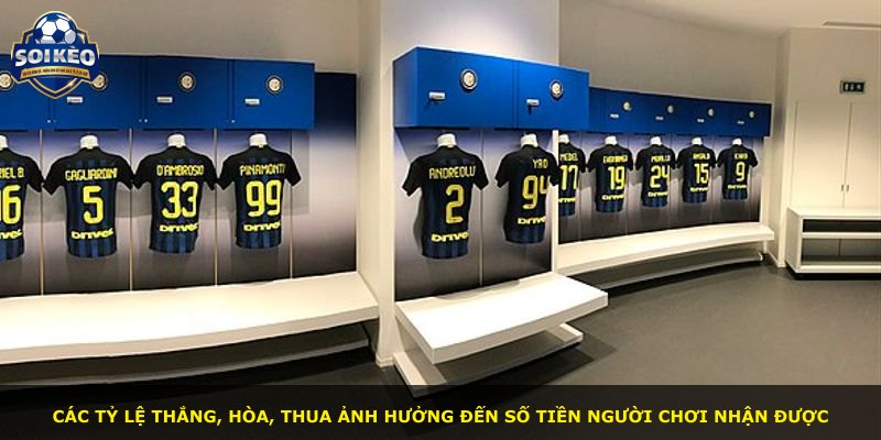 Các tỷ lệ thắng, hòa, thua ảnh hưởng đến số tiền người chơi nhận được