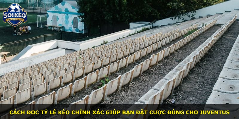 Cách đọc tỷ lệ kèo chính xác giúp bạn đặt cược đúng cho Juventus