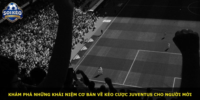 Khám phá những khái niệm cơ bản về kèo cược Juventus cho người mới