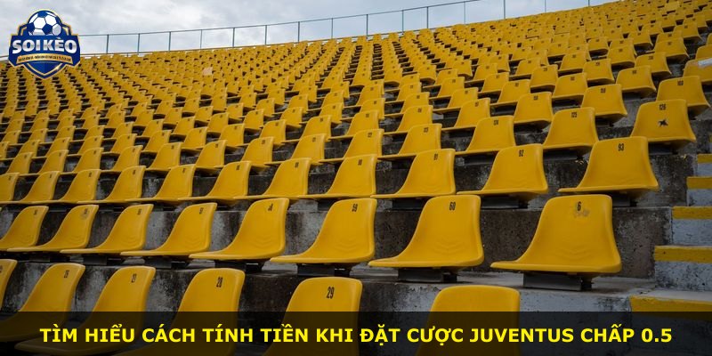 Tìm hiểu cách tính tiền khi đặt cược Juventus chấp 0.5