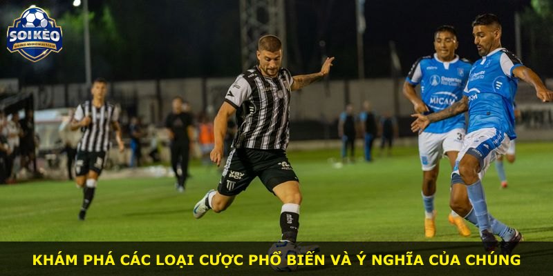 Khám phá các loại cược phổ biến và ý nghĩa của chúng