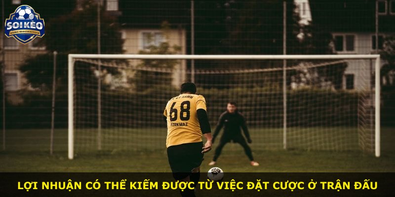 Lợi nhuận có thể kiếm được từ việc đặt cược ở trận đấu