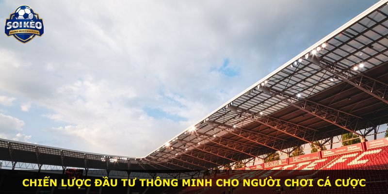 Chiến lược đầu tư thông minh cho người chơi cá cược