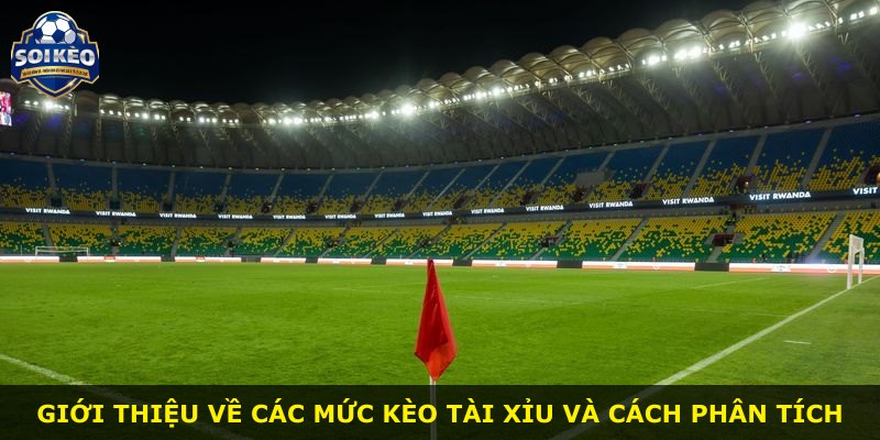 Giới thiệu về các mức kèo tài xỉu và cách phân tích