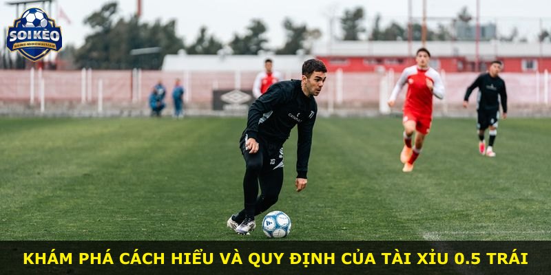 Khám phá cách hiểu và quy định của Tài Xỉu 0.5 Trái