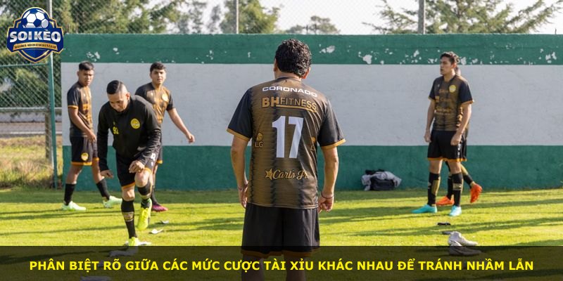 Phân biệt rõ giữa các mức cược Tài Xỉu khác nhau để tránh nhầm lẫn
