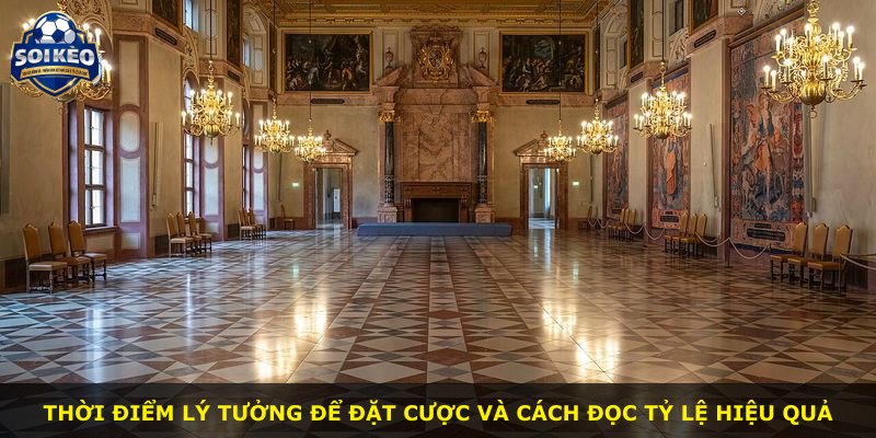 Thời điểm lý tưởng để đặt cược và cách đọc tỷ lệ hiệu quả