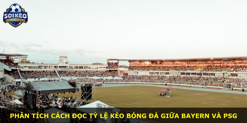 Phân tích cách đọc tỷ lệ kèo bóng đá giữa Bayern và PSG