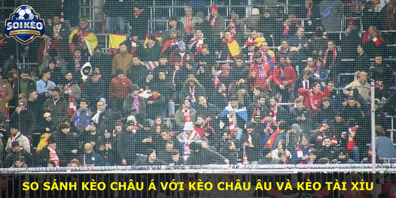 So sánh kèo châu Á với kèo châu Âu và kèo tài xỉu