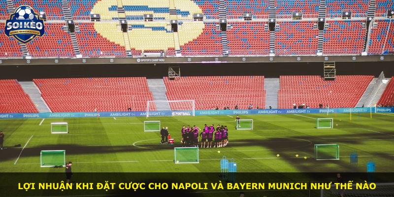 Lợi nhuận khi đặt cược cho Napoli và Bayern Munich như thế nào