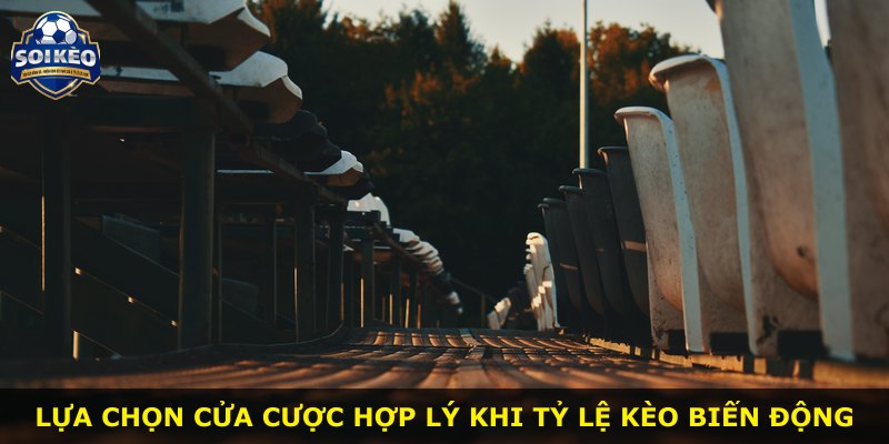 Lựa chọn cửa cược hợp lý khi tỷ lệ kèo biến động