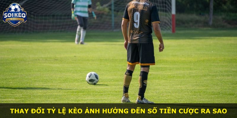 Thay đổi tỷ lệ kèo ảnh hưởng đến số tiền cược ra sao