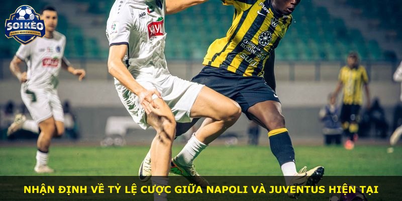 Nhận định về tỷ lệ cược giữa Napoli và Juventus hiện tại