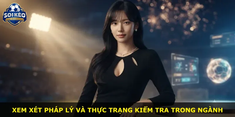 Xem xét pháp lý và thực trạng kiểm tra trong ngành